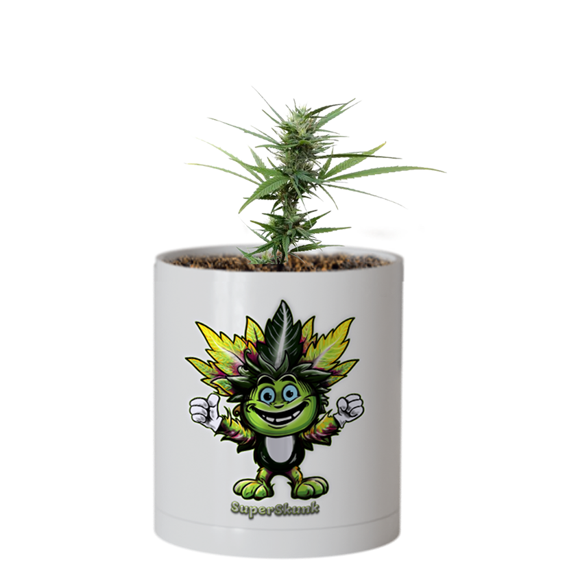 CheebaPet Planter Kit - SuperSkunk