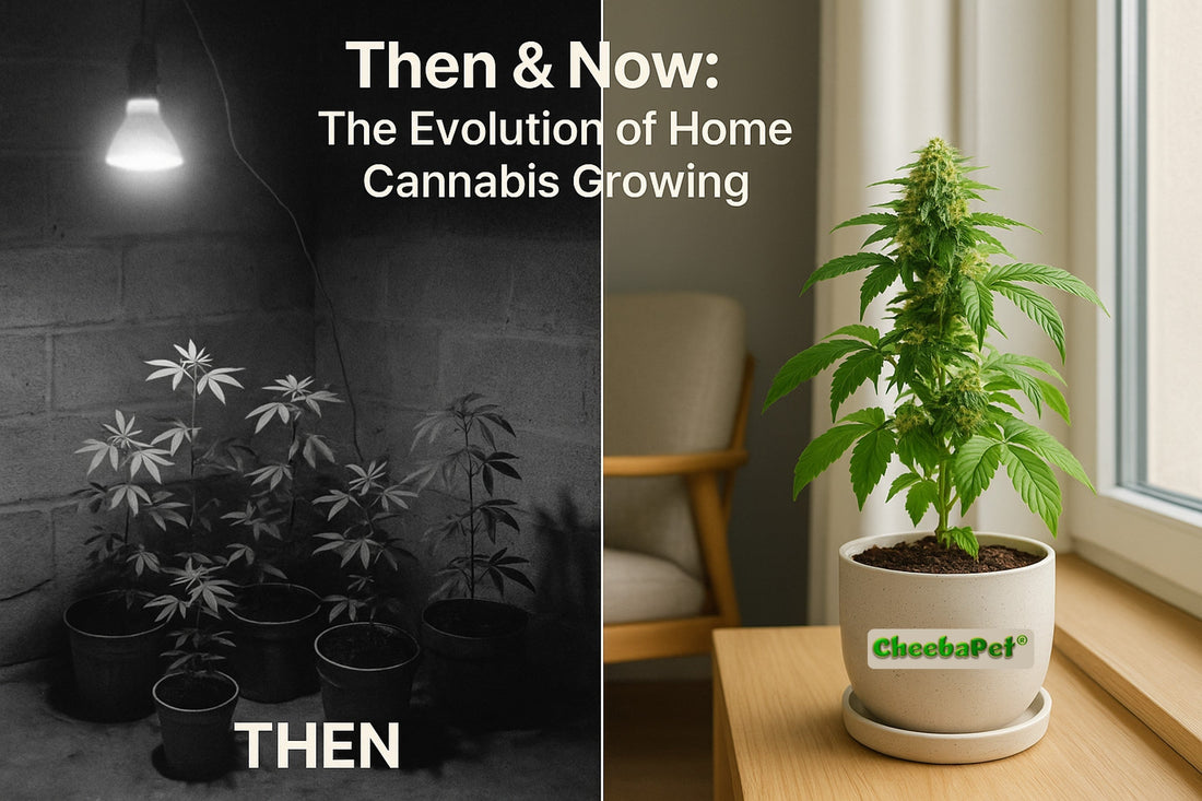 Home-Growing in the U.S. a Brief History