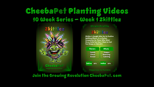 CheebaPet Weekly Grow Series - All 10 CheebaPets Over 10 Weeks