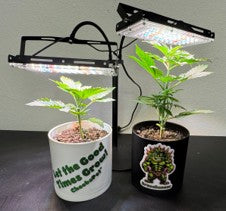 CheebaPet Desk Grow Lamp - 214 LEDs Full Spectrum Adjustable Height 10" - 26"