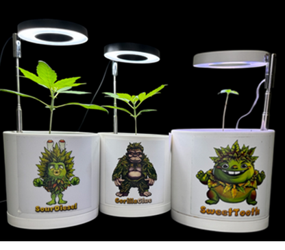 CheebaPet Halo Grow Light Mini - Full Spectrum 48 LEDs Adjustable Height 5" - 22"