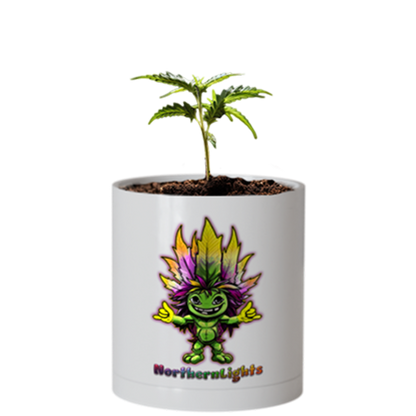 CheebaPet Planter Kit - NorthernLights