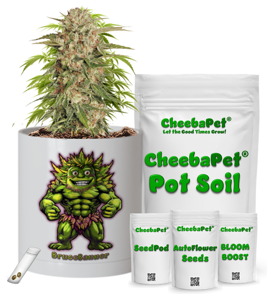 CheebaPet Planter Kit - BruceBanner
