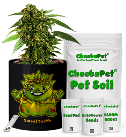 CheebaPet Planter Kit - SweetTooth