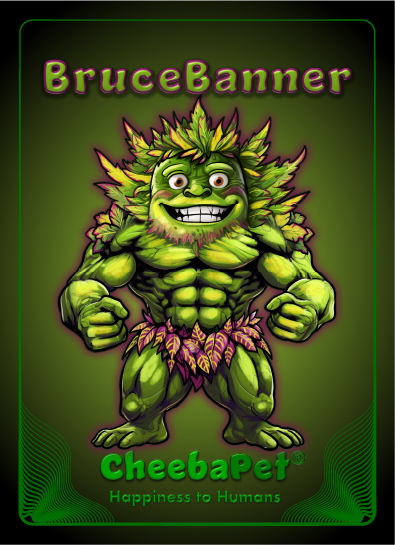 CheebaPet Planter Kit - BruceBanner